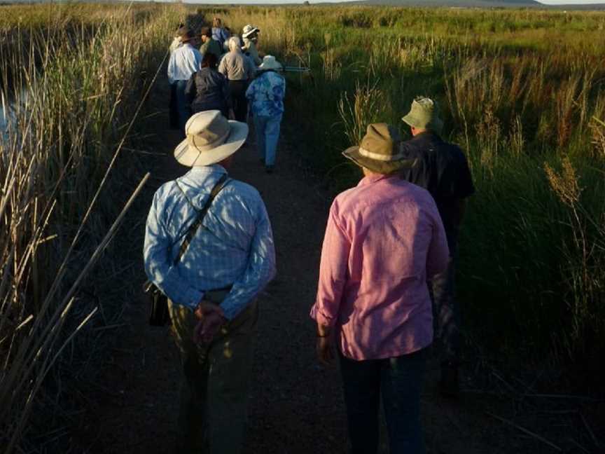 Fivebough Wetlands, Leeton, NSW