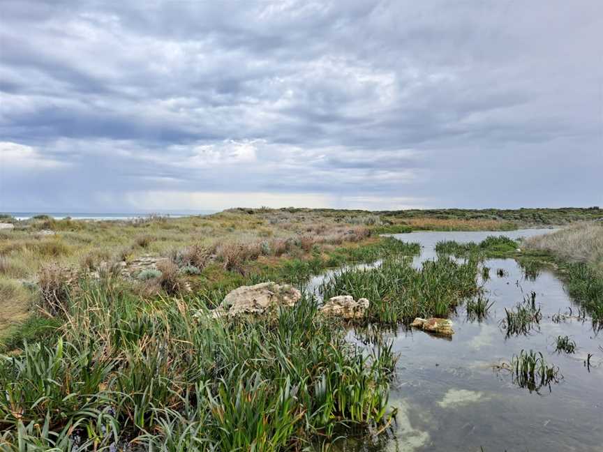 Piccaninnie Ponds Conservation Park, Wye, SA