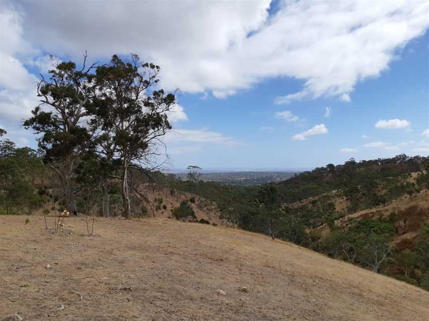 Anstey Hill Recreation Park, Adelaide, SA