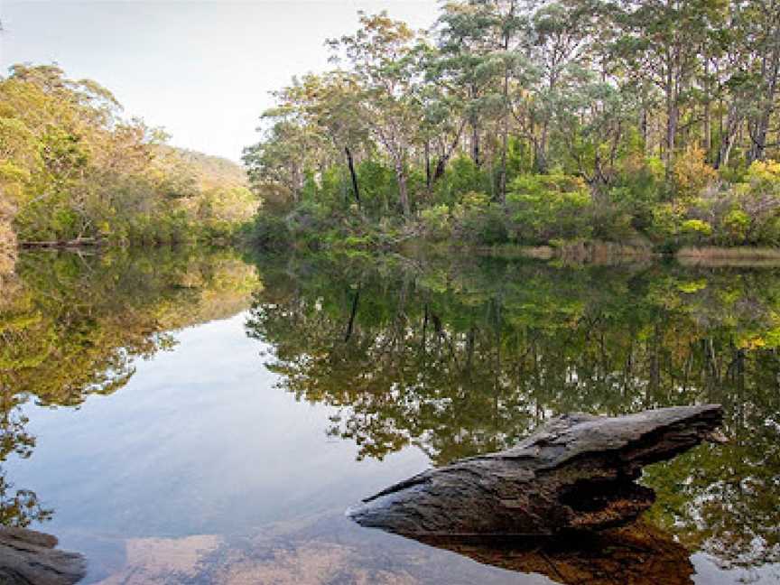 Lake Eckersley picnic area, Heathcote, NSW