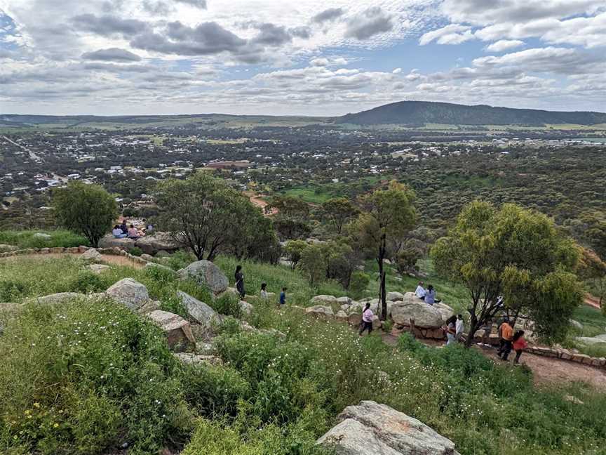 Mount Brown Lookout, York, WA