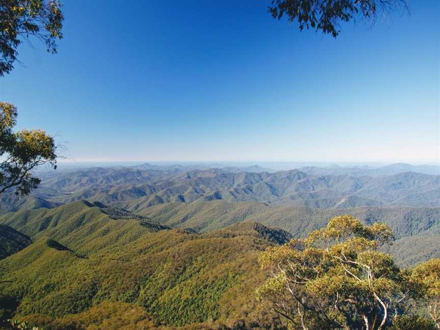 Point Lookout, Ebor, NSW