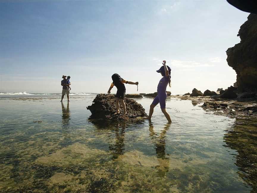 Mornington Peninsula National Park, Portsea, VIC