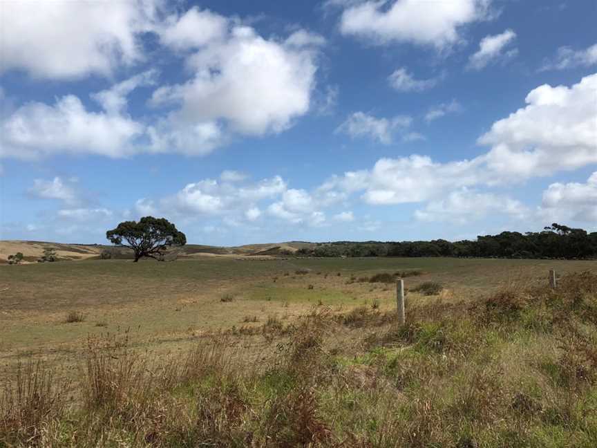 Mount Richmond National Park, Gorae, VIC