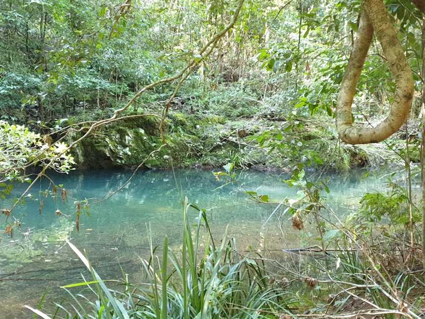 Potoroo Falls walk, Dingo Forest, NSW