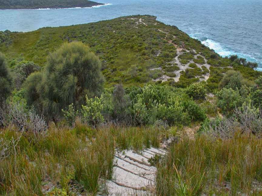 Snapper Point lookout, Pretty Beach, NSW