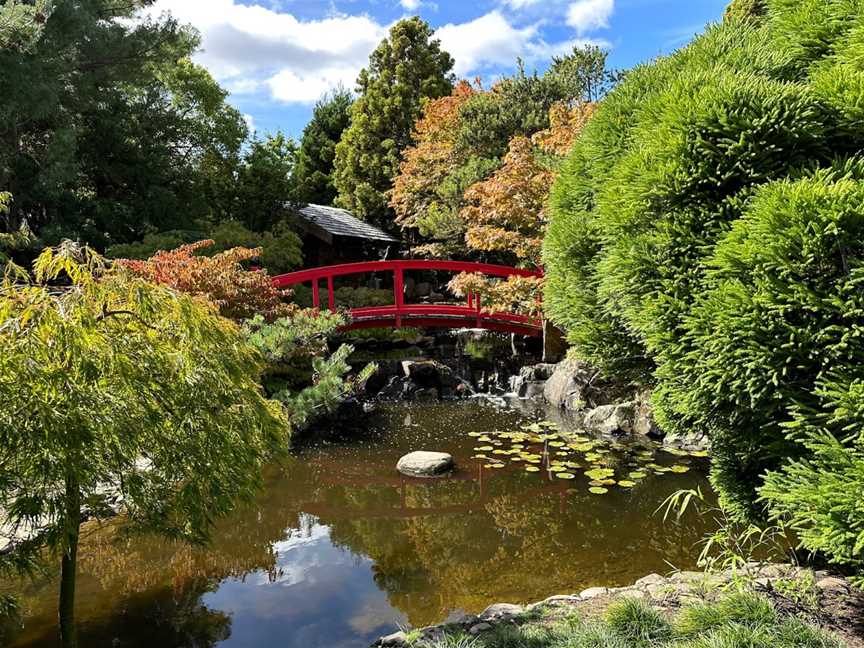 Royal Tasmanian Botanical Gardens, Hobart, TAS