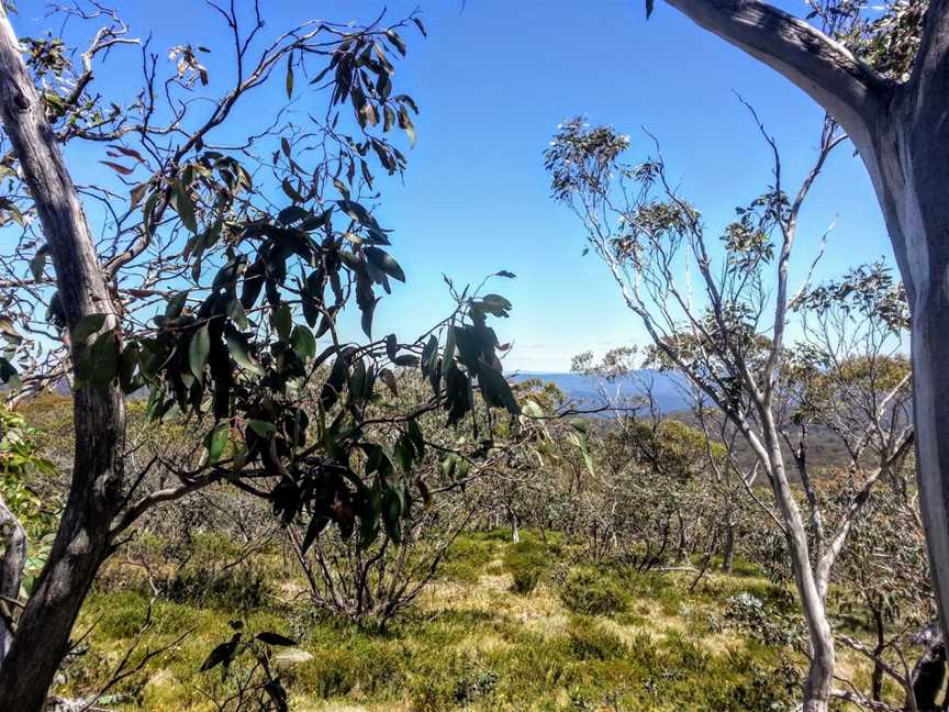 Wallace Creek Lookout, Cabramurra, NSW