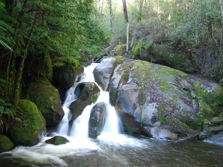 Yarra Ranges National Park, Reefton, VIC