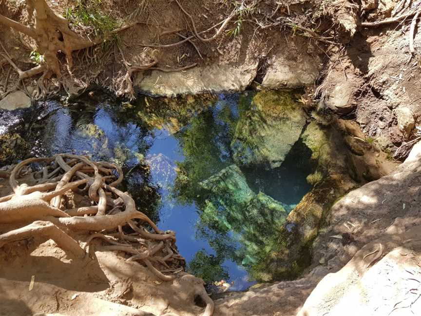 Katherine Hot Springs, Katherine, NT