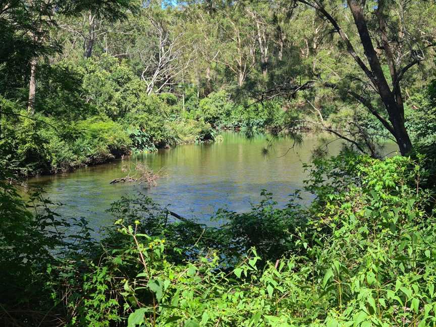 Riverside Walking Track, North Ryde, NSW