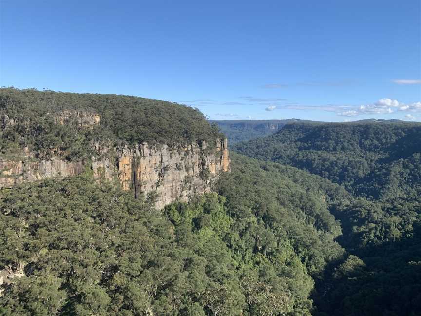 Nellies Glen picnic area, Robertson, NSW