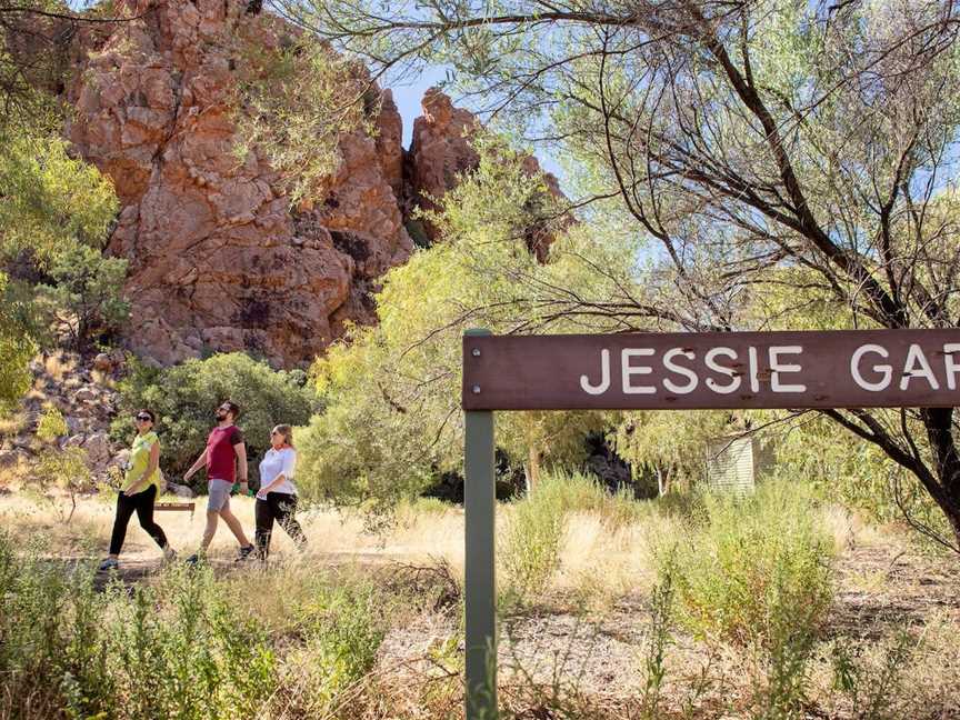 Yeperenye / Emily and Jessie Gaps Nature Park, Alice Springs, NT