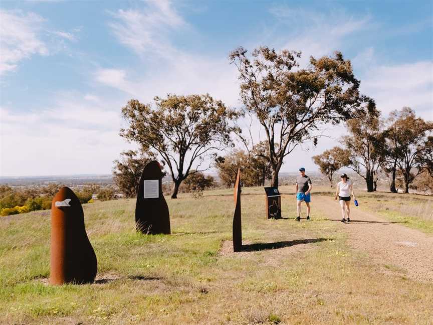 Birramal Conservation area, Lloyd, NSW