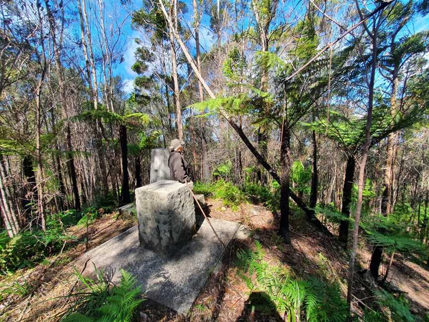 Whian Whian State Conservation Area, Whian Whian, NSW