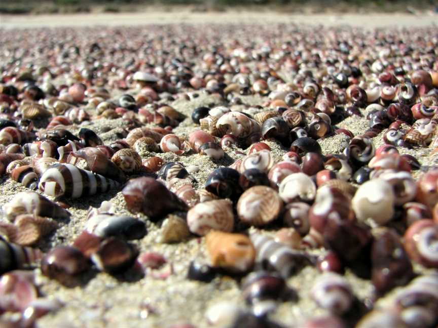 Bherwerre Beach, Jervis Bay, NSW