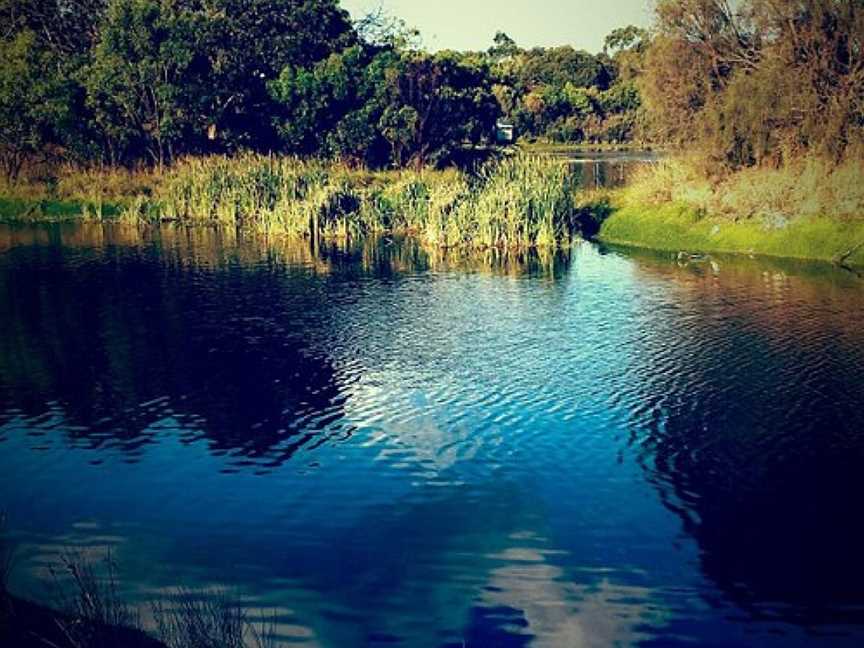 Lake McIntyre, Millicent, SA