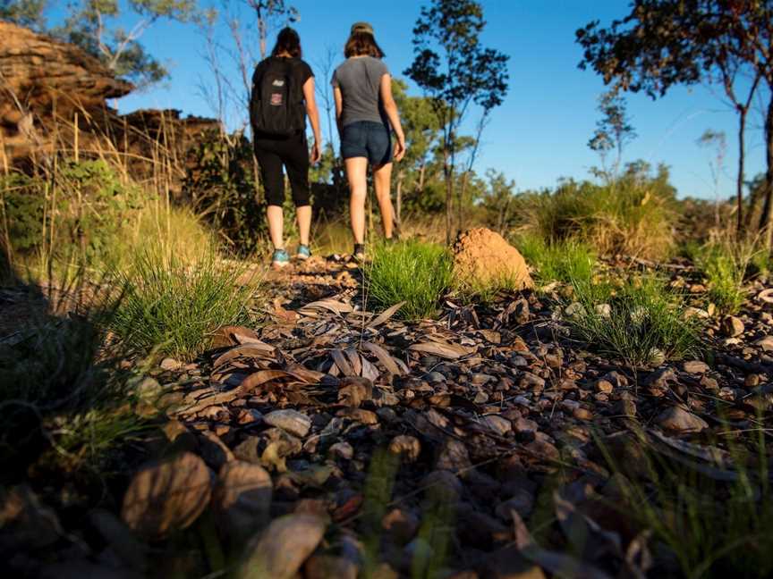 Savannah Way, Borroloola, NT