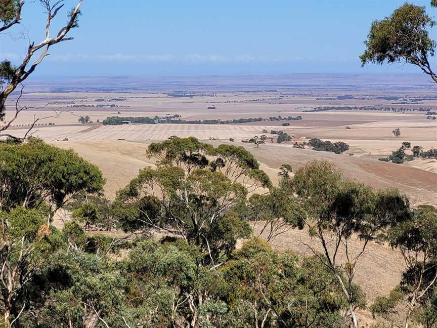 Spring Gully Conservation Park, Spring Gully, SA