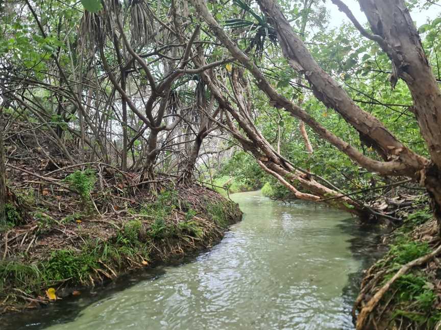 Eli Creek, Fraser Island, QLD