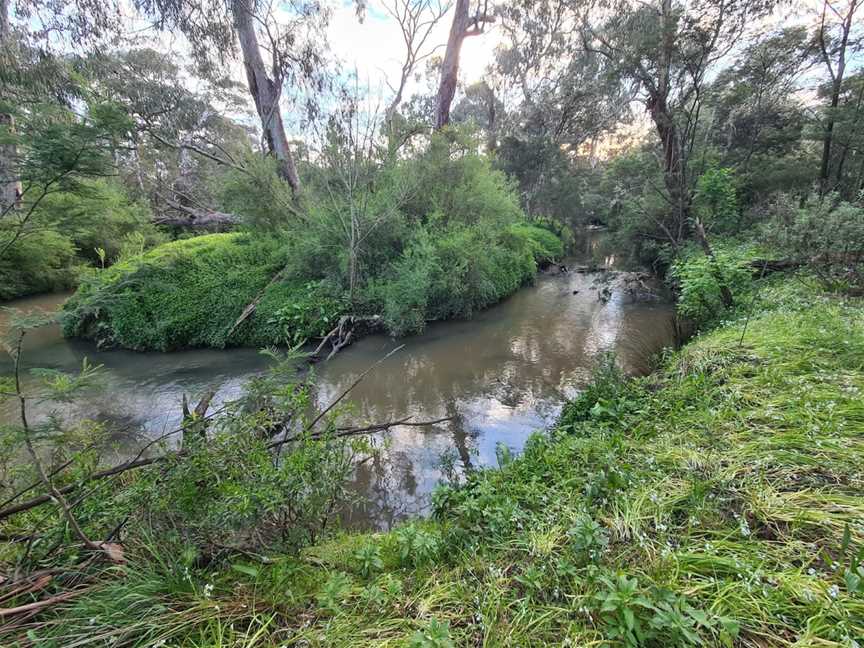 Shepherds Bush, Glen Waverley, VIC