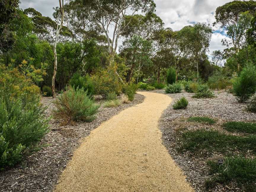 Wittunga Botanic Garden, Adelaide, SA