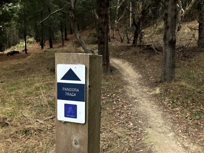 Black Hill Reserve and Mountain Bike Trails, Black Hill, VIC