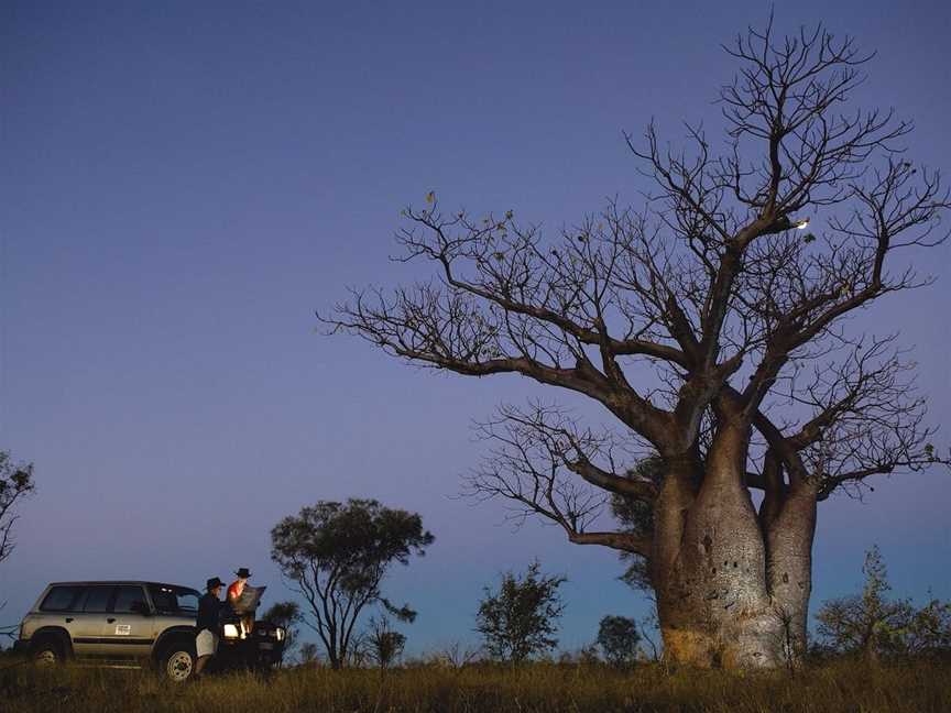 Scenic Drives - Bunbury, Collie, and Donnybrook, Bunbury, WA