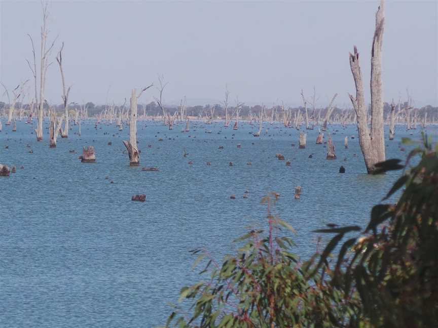 Kyffins Reserve Mulwala, Mulwala, NSW