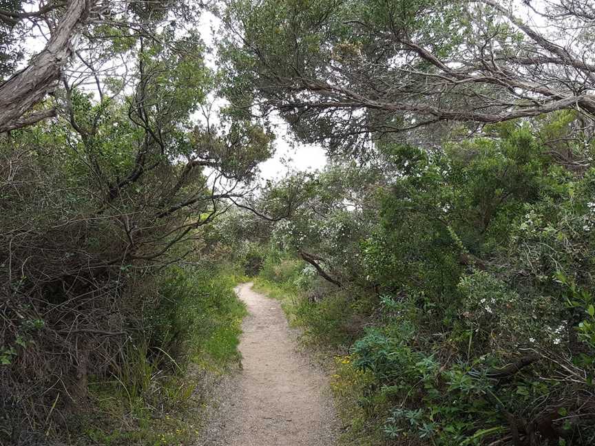 Monforts Beach, Blairgowrie, Blairgowrie, VIC