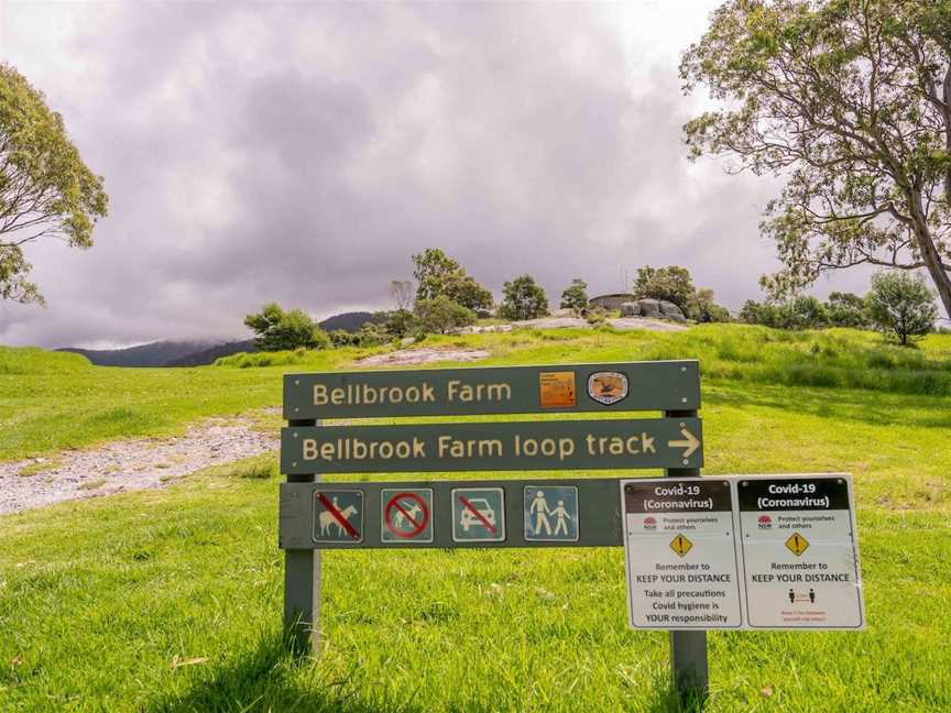 Bellbrook Farm Loop Walk, Central Tilba, NSW