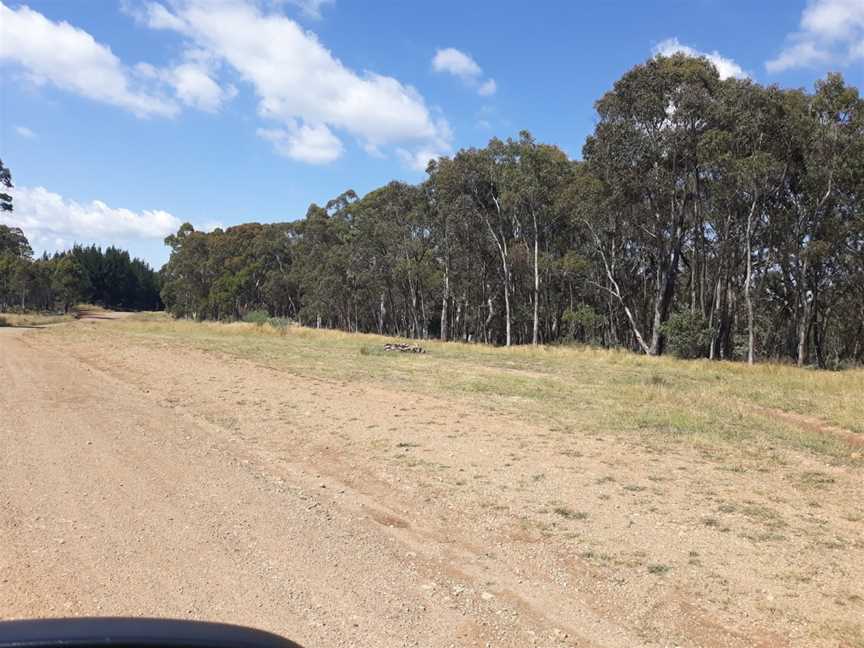 Sunny Corner State Forest, Sunny Corner, NSW