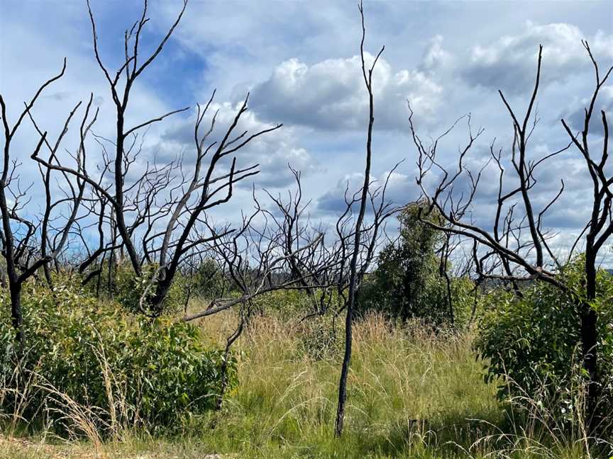 Three Views walking track, Moollattoo, NSW