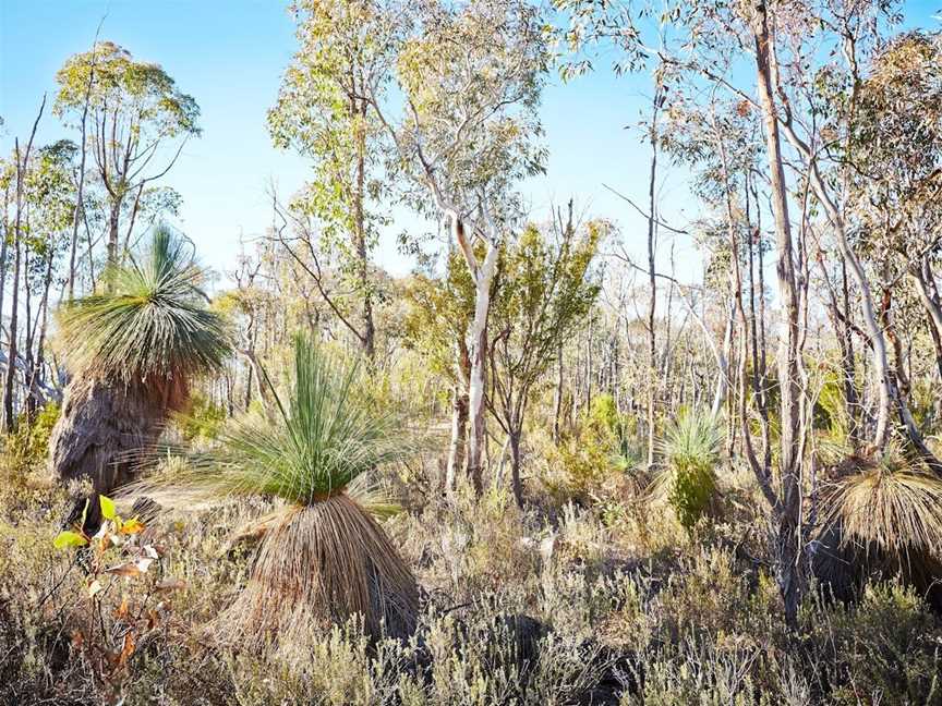 Mt Glenrowan Lookout Walk, Wangaratta South, VIC