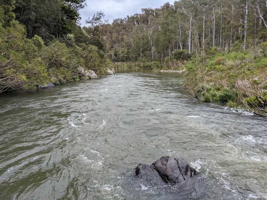 Nymboi-Binderay National Park, Wild Cattle Creek, NSW