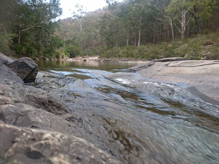 Nymboi-Binderay National Park, Wild Cattle Creek, NSW