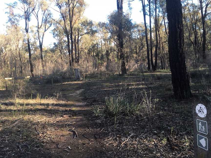 Springtime Flower Walking Track, Killawarra, VIC