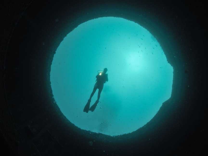 Ex-Hmas Adelaide Dive Site, Avoca Beach, NSW