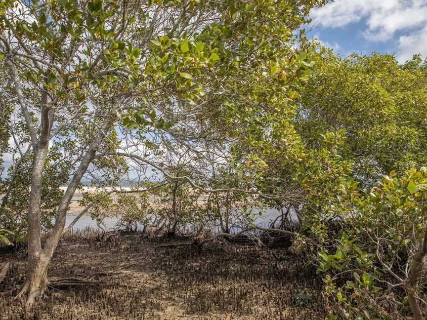 Buckley's Hole Conservation Park, Bongaree, QLD