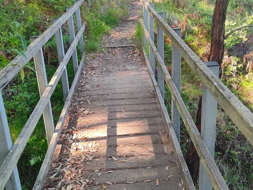 Awaba Bay Foreshore Walk, Bolton Point, NSW