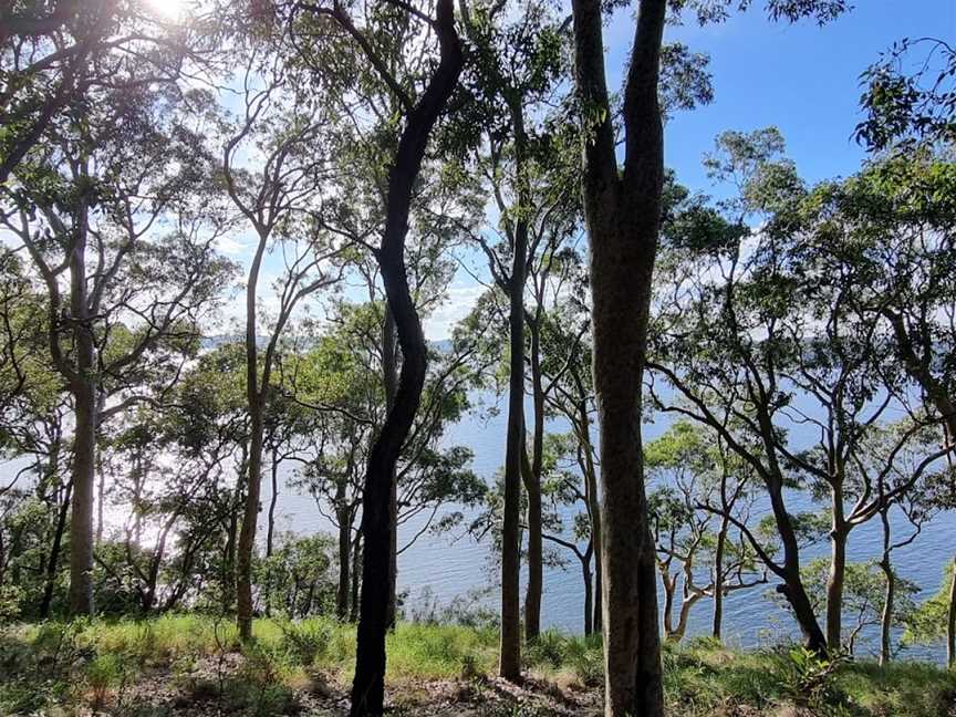 Awaba Bay Foreshore Walk, Bolton Point, NSW