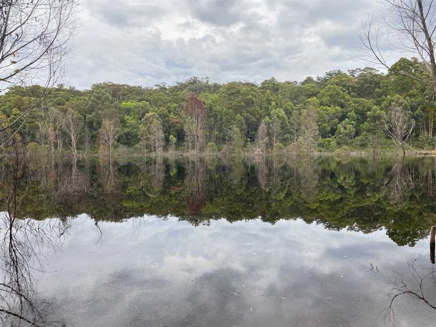 Werri Berri picnic area, Thirlmere, NSW