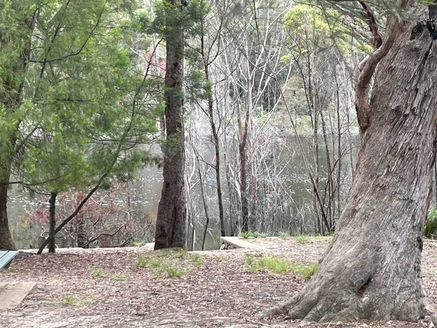 Werri Berri picnic area, Thirlmere, NSW