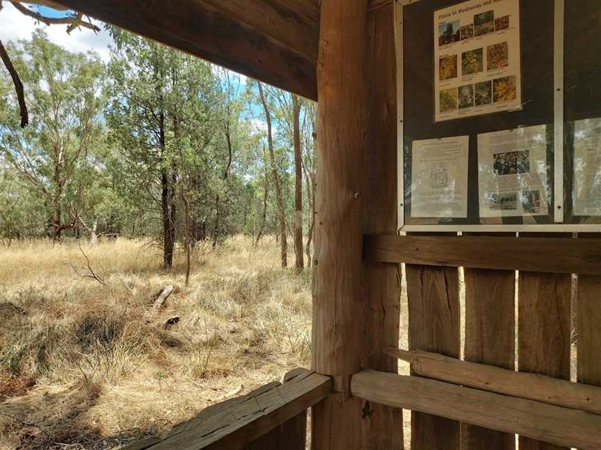 Redlands Hill Flora and Fauna Reserve, Redlands, NSW