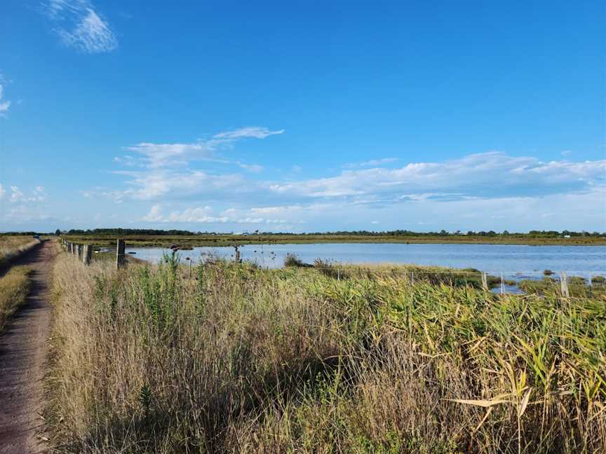 Hunter Wetlands National Park, Tomago, NSW