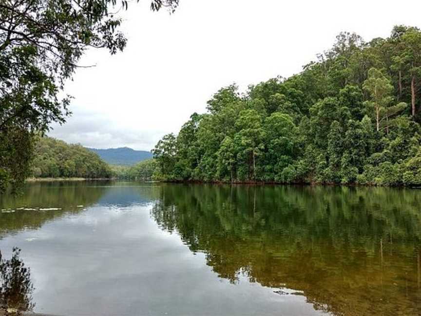 Toonumbar National Park, Toonumbar, NSW