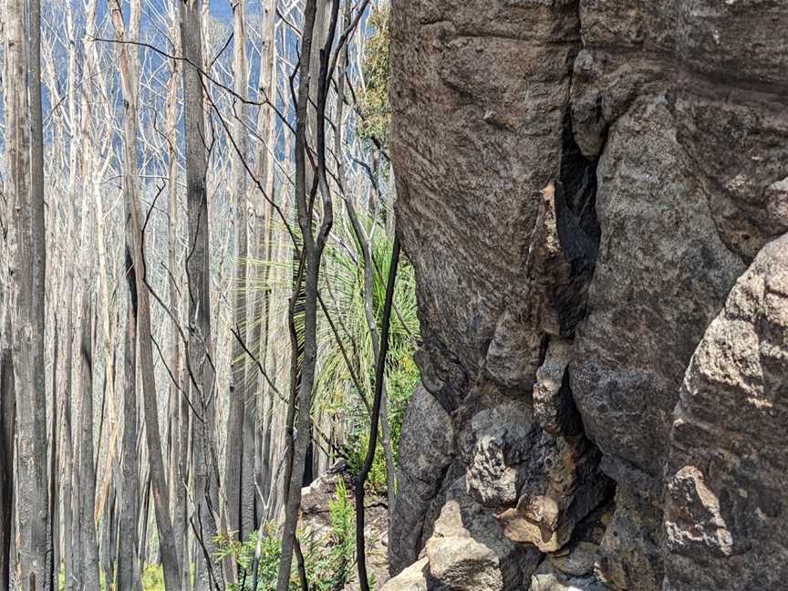 Mount Imlay National Park, Towamba, NSW