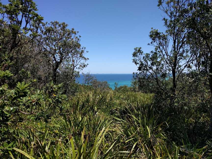 Treachery Beach, Seal Rocks, NSW