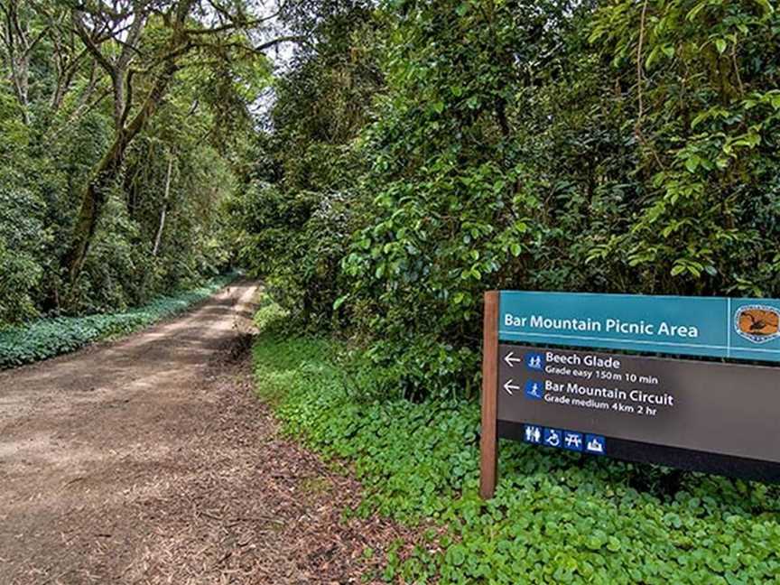 Bar Mountain picnic area, Upper Horseshoe Creek, NSW