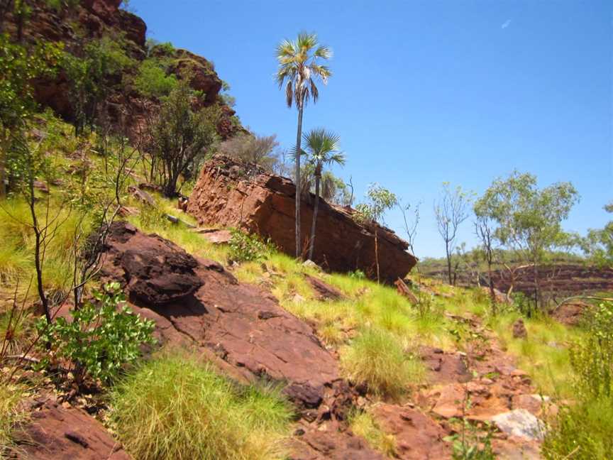 Judbarra / Gregory National Park, Timber Creek, NT